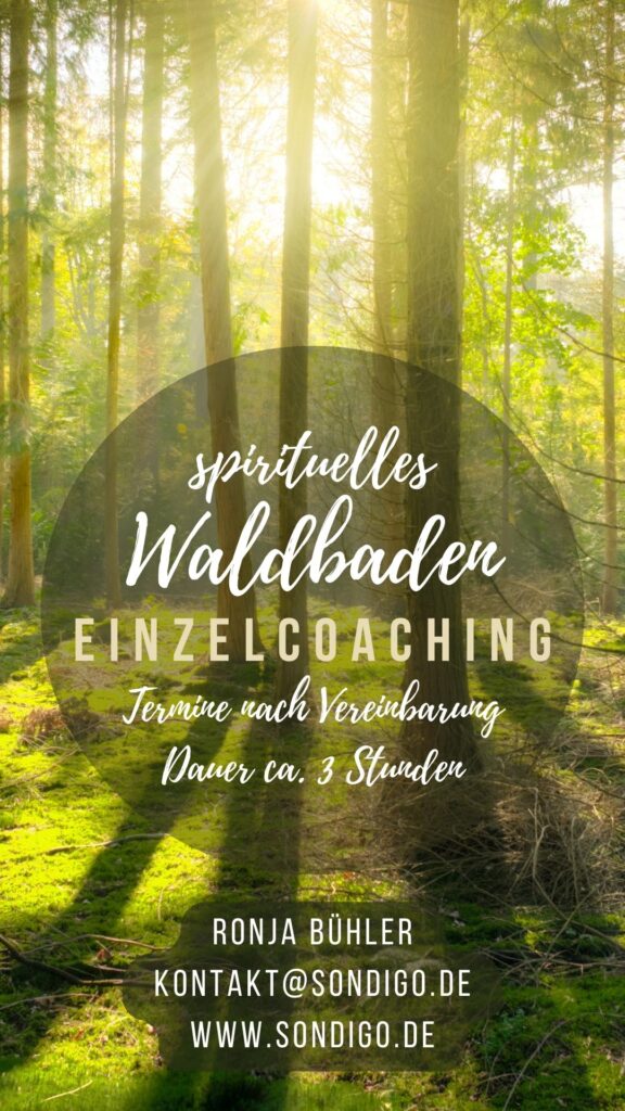 spirituelles Waldbaden _ Coaching